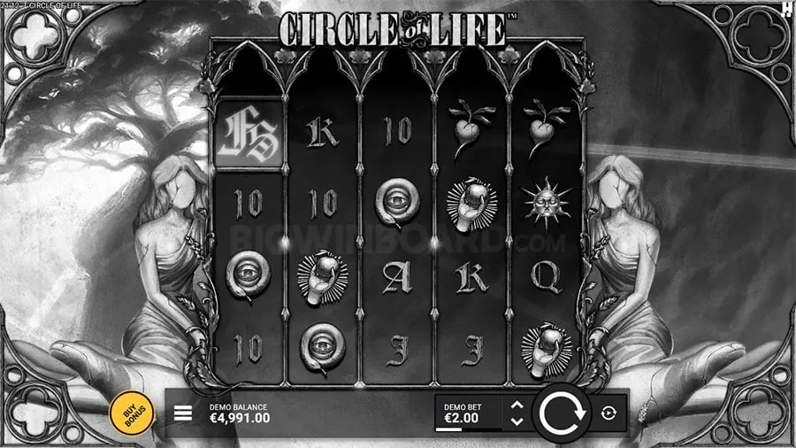 Live Casino Strategy Tips